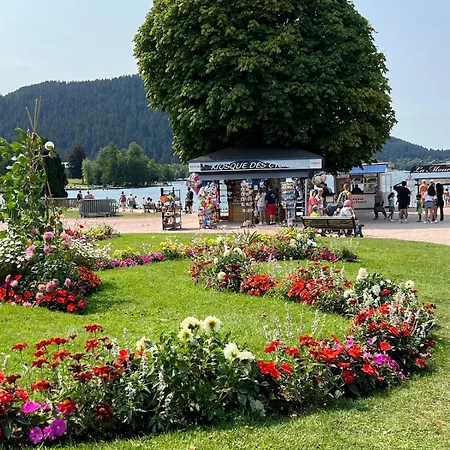Apartament Cosy Du Avec Sauna Et Balneo Gérardmer