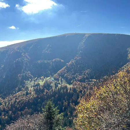 Apartament Cosy Du Avec Sauna Et Balneo Gérardmer